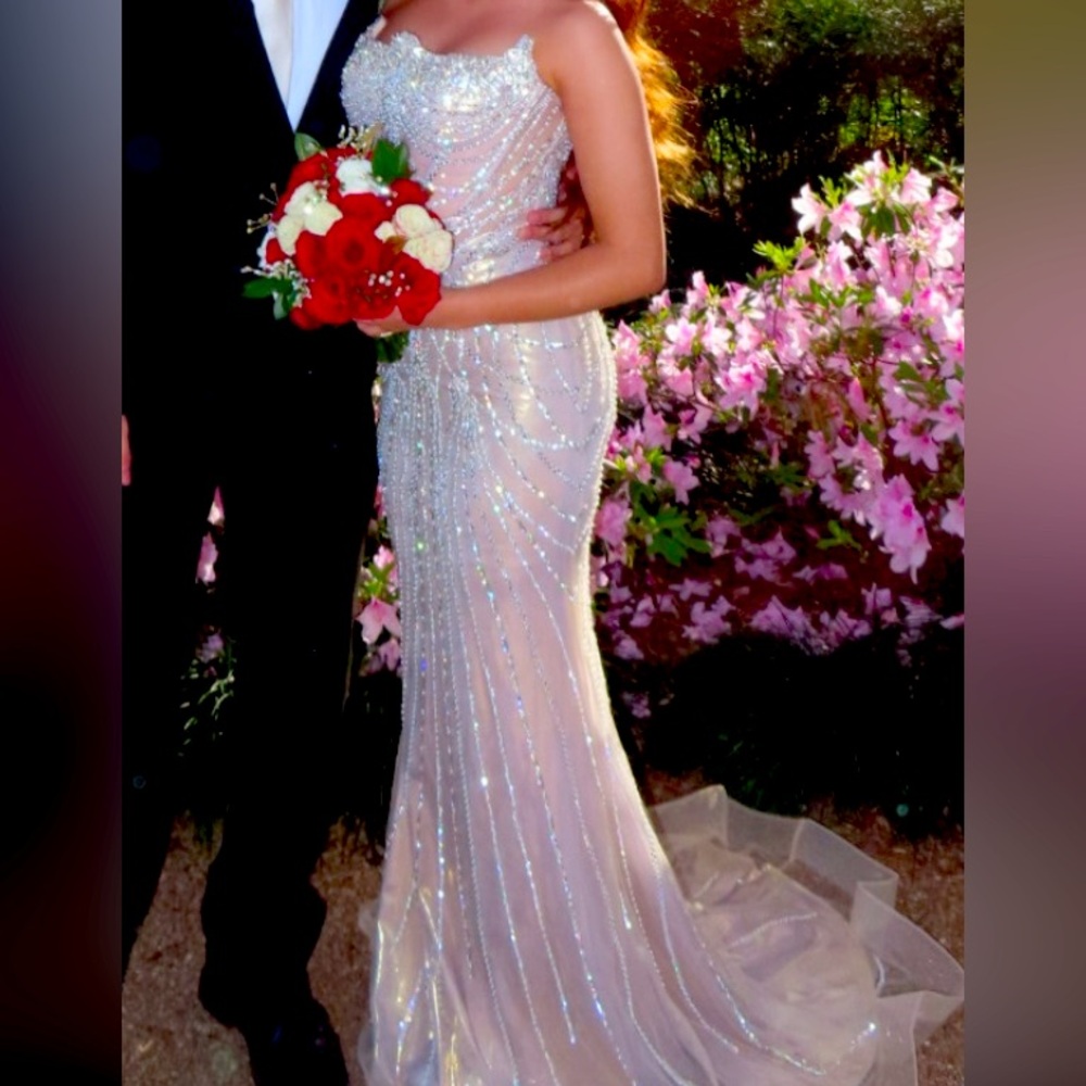 Elegant Silver Sequin Gown
